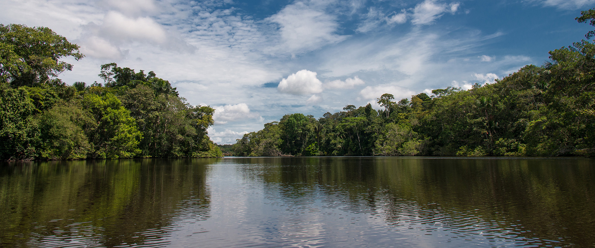 Amazon River Tours