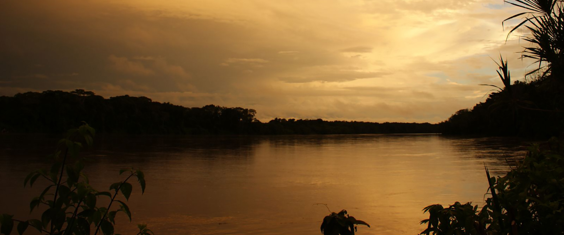 Ecuador Amazon Landscape