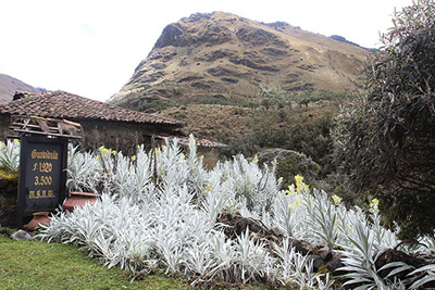 Cajas National Park Tour 1 Day