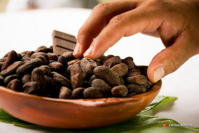 Chocolate Farm Ecuador Chocolate Route