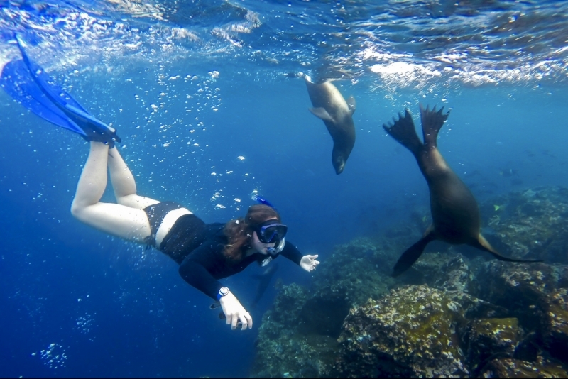 Galapagos Snorkeling Diving